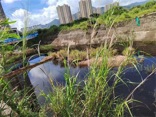 大亚湾大道旁建设地块3.jpg